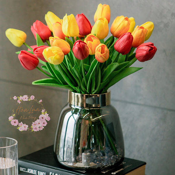 binh hoa tulip rang ro do vang